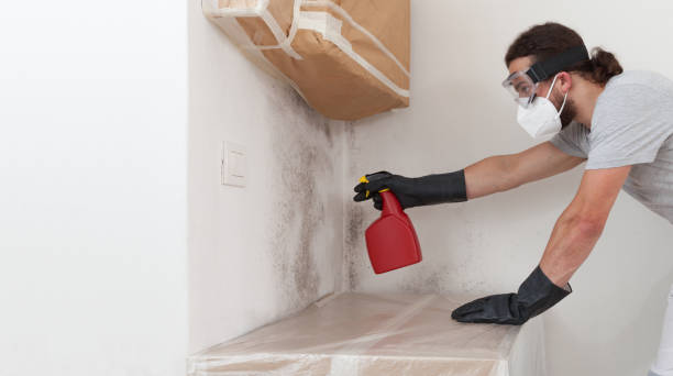 Professional Bathroom Mold Removal technician working in Lucama, NC